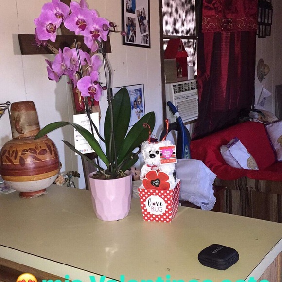 Meet your Posher, Maria - Picture 1 of 1